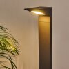 Borne lumineuse Matlava LED Anthracite, 1 lumière