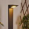 Borne lumineuse Matlava LED Anthracite, 1 lumière
