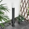 Borne lumineuse Buhrkall Anthracite, 1 lumière