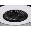 Ventilateur de plafond Reality Halmstad LED Noir, 1 lumière, Télécommandes