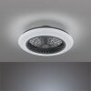 Ventilateur de plafond Reality Stralsund LED Noir, 1 lumière, Télécommandes