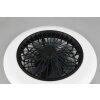 Ventilateur de plafond Reality Stralsund LED Noir, 1 lumière, Télécommandes