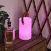 Lampe à poser Tacuala LED Brun, Blanc, 1 lumière, Changeur de couleurs