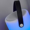 Lampe à poser Chilar LED Noir, Blanc, 1 lumière, Télécommandes, Changeur de couleurs