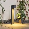 Borne lumineuse Kingstown Anthracite, 1 lumière
