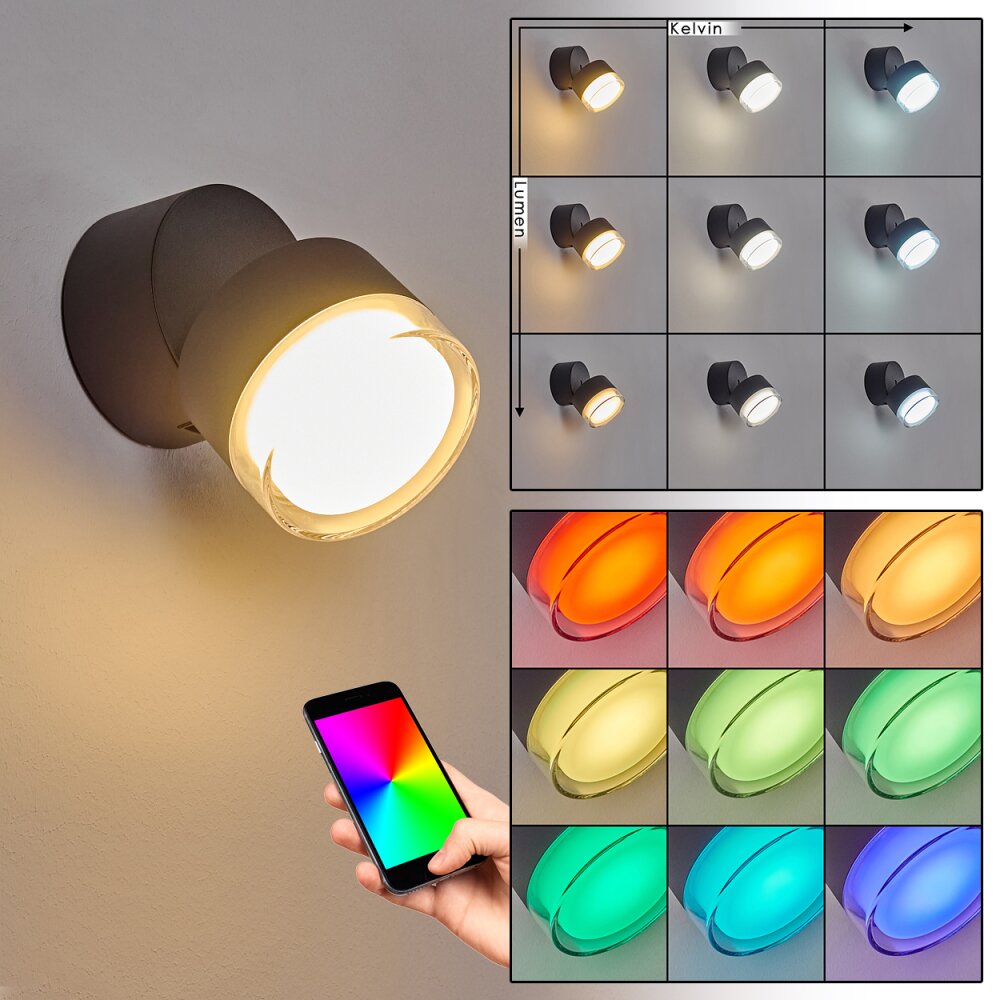 Applique murale d'extérieur Papagayos LED Anthracite, 1 lumière, Changeur de couleurs main product photo