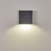 Applique murale d'extérieur Spidern LED Anthracite, 1 lumière