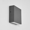 Applique murale d'extérieur Spidern LED Anthracite, 1 lumière