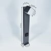 Borne lumineuse Swanek LED Anthracite, 1 lumière Borne lumineuse Swanek LED Anthracite, 1 lumière