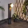 Borne lumineuse Swanek LED Anthracite, 1 lumière Borne lumineuse Swanek LED Anthracite, 1 lumière