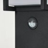 Borne lumineuse Skove LED Anthracite, 1 lumière, Détecteur de mouvement