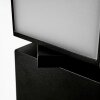 Applique murale d'extérieur Swanek LED Noir, 1 lumière