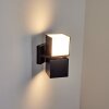 Applique murale d'extérieur Swanek LED Noir, 1 lumière