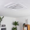 Plafonnier Panchita LED Blanc, 1 lumière, Télécommandes
