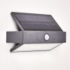 Applique murale d'extérieur Wiborg LED Anthracite, 1 lumière, Détecteur de mouvement