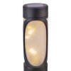 Lampe solaire Globo FRITT LED Noir, 1 lumière, Changeur de couleurs