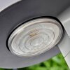Lampe solaire Portmore LED Gris, 1 lumière