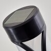 Lampe solaire Lakeland LED Anthracite, 1 lumière