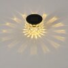 Set de 24 lampes solaires Benson LED Noir, 1 lumière