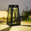 lampe solaire Arnhem LED Noir, 1 lumière