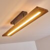 Plafonnier Adak LED Gris, 1 lumière