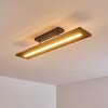 Plafonnier Adak LED Gris, 1 lumière