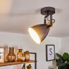 Plafonnier Elm Anthracite, Bois clair, 1 lumière