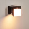 Applique murale d'extérieur Swanek LED Noir, 1 lumière