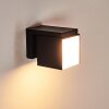 Applique murale d'extérieur Swanek LED Noir, 1 lumière
