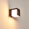 Applique murale d'extérieur Swanek LED Noir, 1 lumière