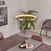 Suspension Calcium LED Nickel mat, 1 lumière