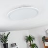 Plafonnier Boyero LED Blanc, 1 lumière