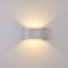 Applique murale d'extérieur Everton LED Blanc, 2 lumières