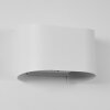 Applique murale d'extérieur Everton LED Blanc, 2 lumières