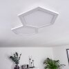 Plafonnier Fanebal LED, 1 lumière