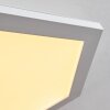 Plafonnier Fanebal LED, 1 lumière