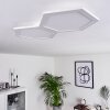 Plafonnier Fanebal LED, 1 lumière