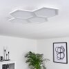 Plafonnier Fanebal LED Blanc, 1 lumière