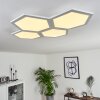 Plafonnier Fanebal LED Blanc, 1 lumière