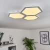 Plafonnier Fanebal LED, 1 lumière