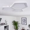 Plafonnier Fanebal LED, 1 lumière