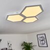 Plafonnier Fanebal LED, 1 lumière