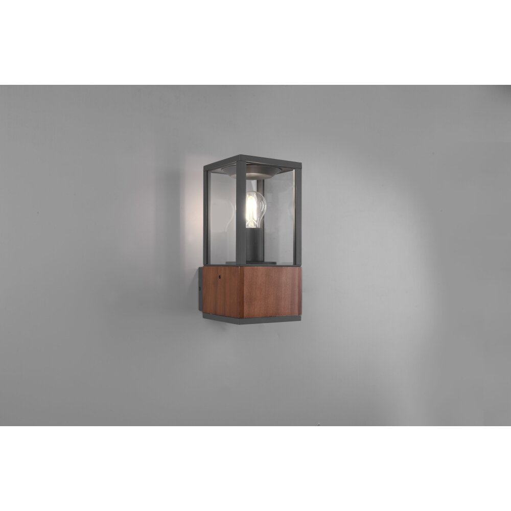 Applique murale d'extérieur Trio Garonne Bois foncé, Nickel mat, 1 lumière main product photo