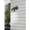 Applique murale d'extérieur Trio Kaveri Anthracite, 1 lumière