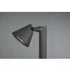 Borne lumineuse Trio Kaveri Anthracite, 1 lumière