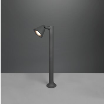 Borne lumineuse Trio Kaveri Anthracite, 1 lumière