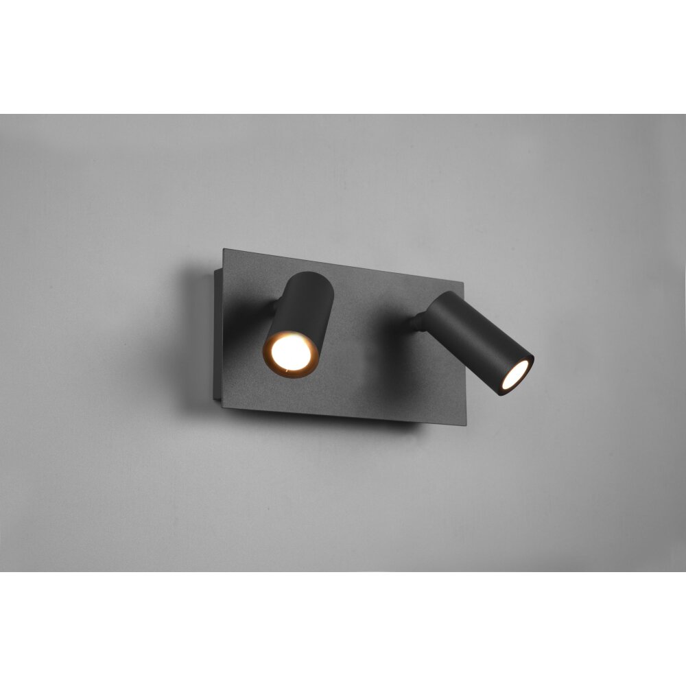 Applique murale d'extérieur Trio Tunga LED Anthracite, 2 lumières main product photo