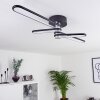 Plafonnier Olul LED Noir, Blanc, 2 lumières
