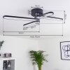 Plafonnier Olul LED Noir, Blanc, 2 lumières
