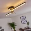 Plafonnier Olul LED Noir, Blanc, 2 lumières